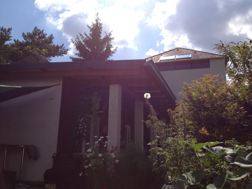 Box58 Lägenhet Eisenstadt Exteriör bild